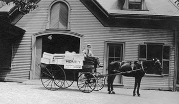 Grand Dad Taking Honey to Market